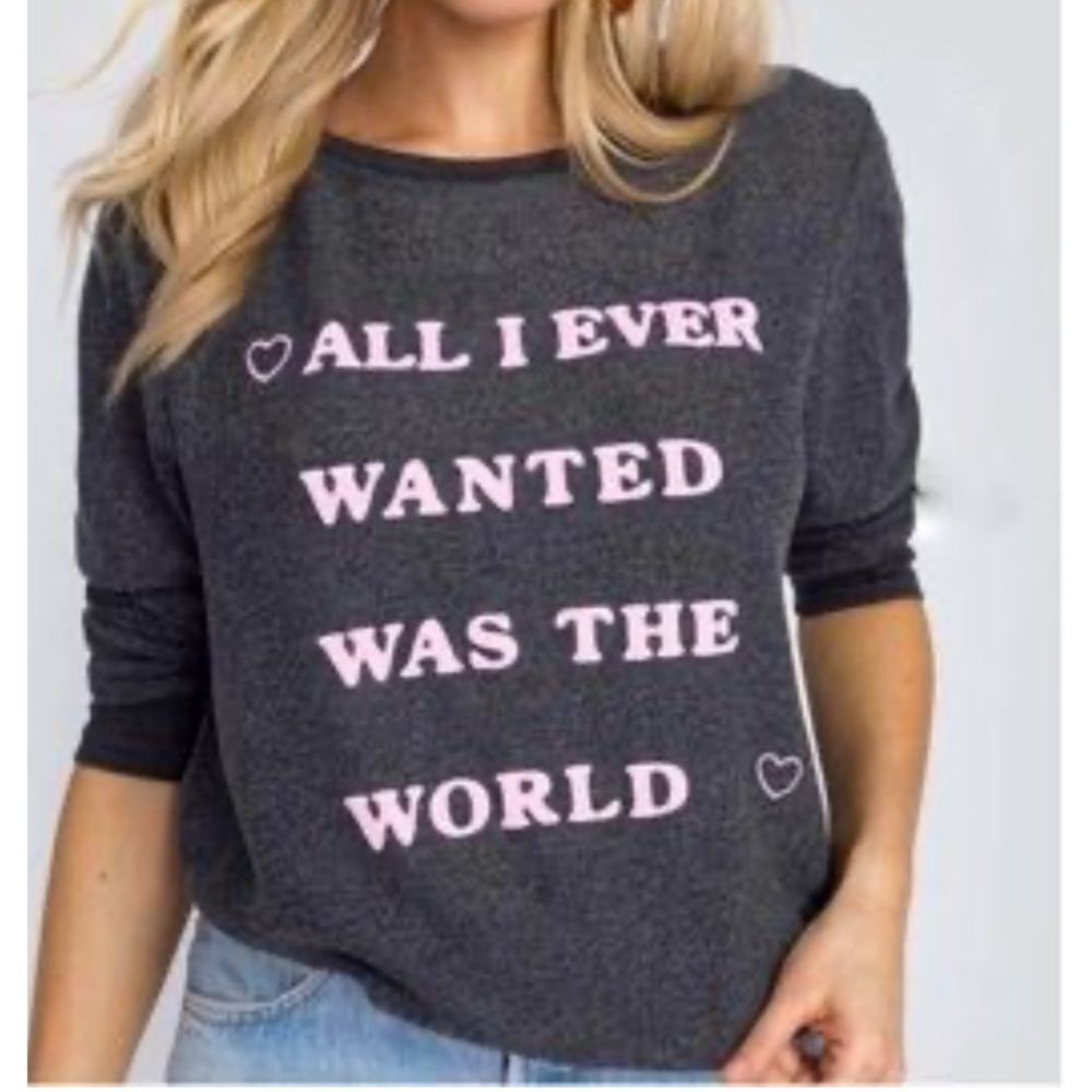 Wildfox Gray & Pink All I Ever Wanted Was The World Long Sleeve Sweatshirt M